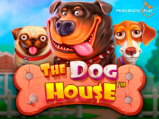 Red dog casino app download61